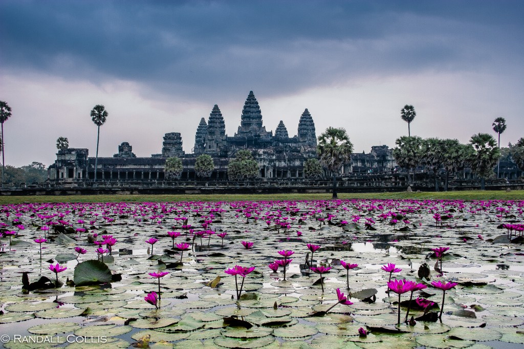 Cambodia: Beauty of Angkor&nbsp;Wat