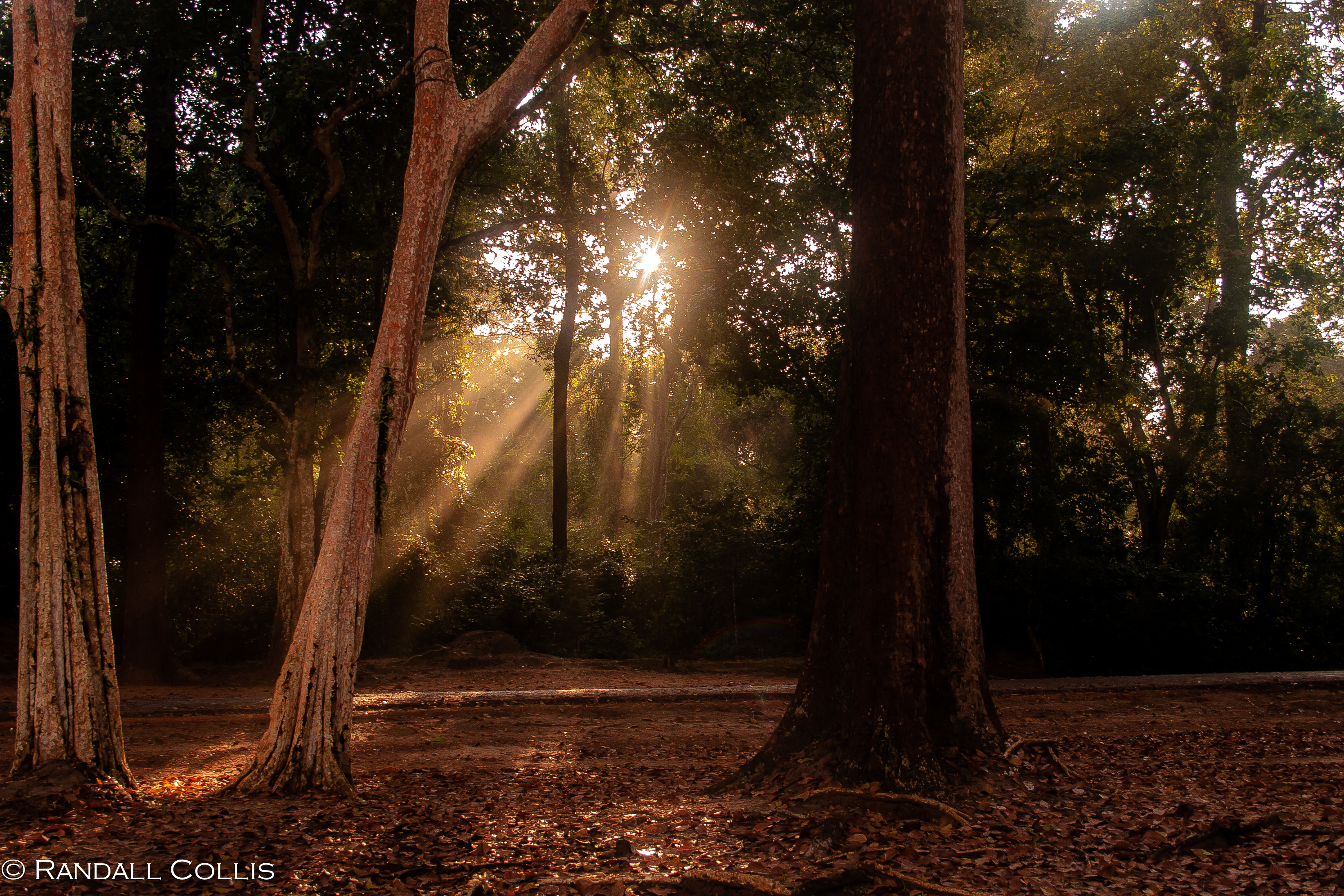 Morning Light at Bayon -2