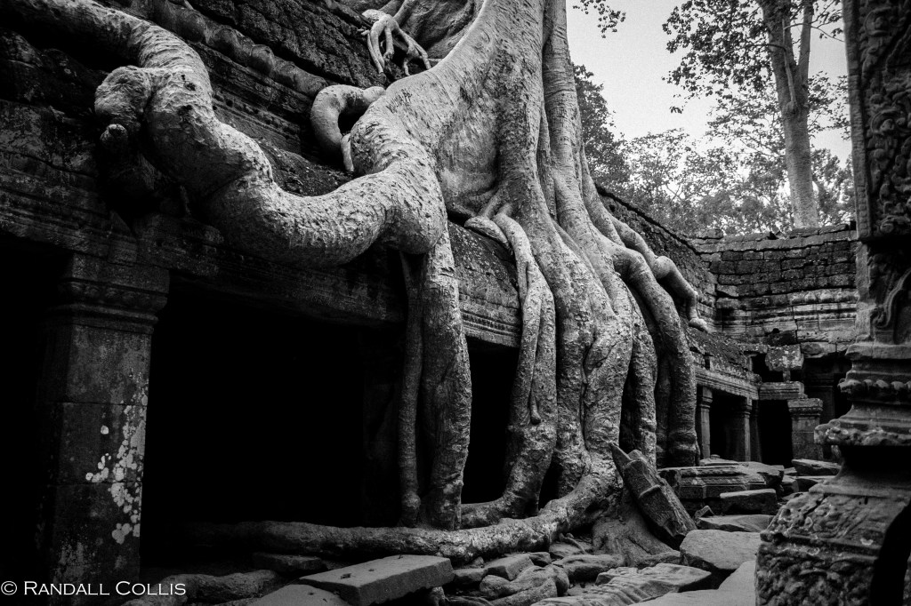 Power of Nature and&nbsp;Change