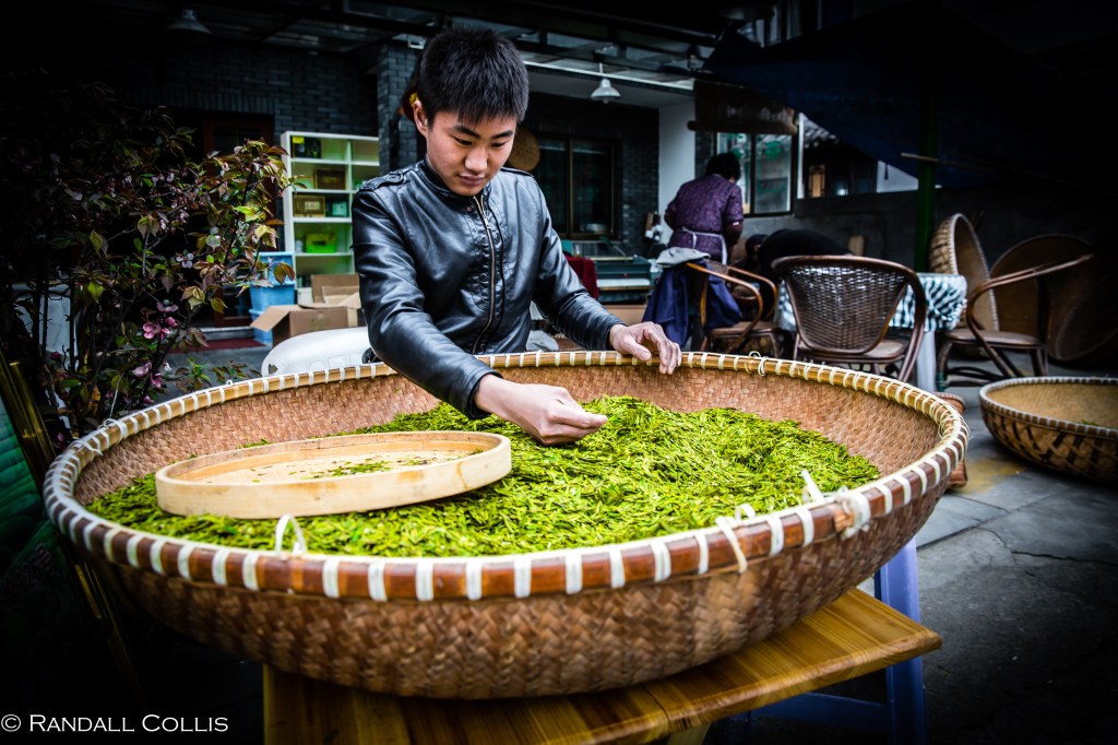 Of All the Tea in China, One Place&nbsp;Rules…