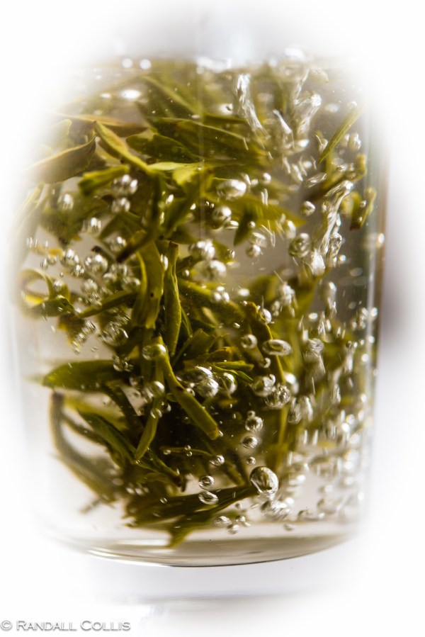 梅家坞龙井茶-2