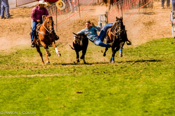 Pendleton Round-Up-1