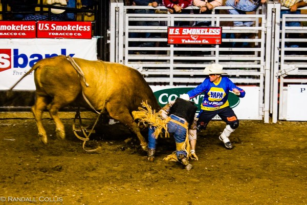 Pendleton Round-Up-7