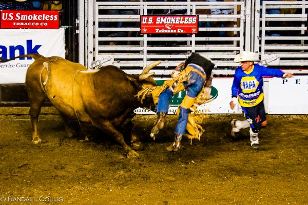 Pendleton Round-Up-8