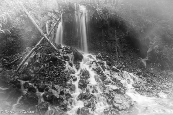 Skokomish Wilderness Olympic National Forest-17