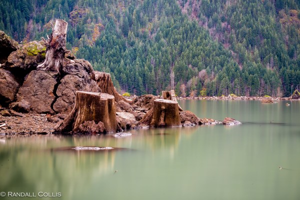 Skokomish Wilderness Olympic National Forest-4