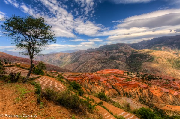 Yunnan Red Soil Positive Envy-1