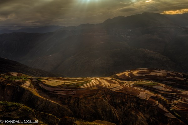 Yunnan Red Soil Positive Envy-8