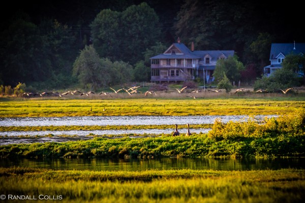 Pacific Northwest Nature-3