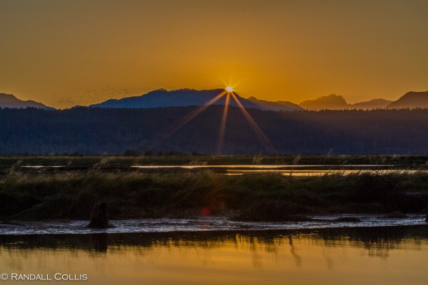 Pacific Northwest Nature-5