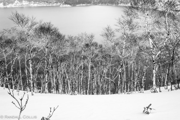 Bowl of Forested Lake