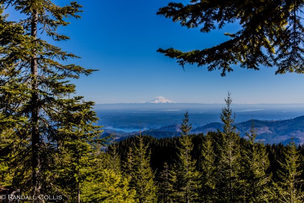 Mt. Ellinor and Skokomish Mountain Goats-12