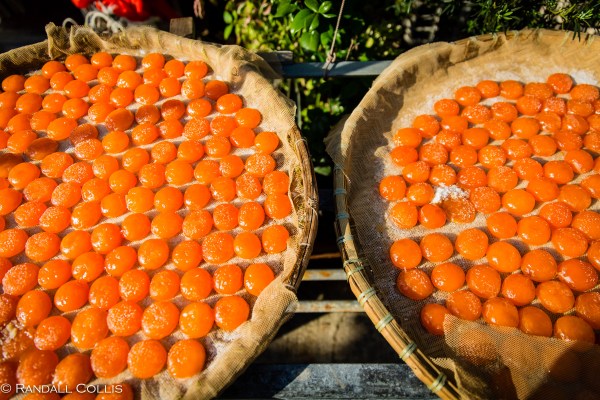 The Ghosts of Tai O Village ~ Hong Kong-12