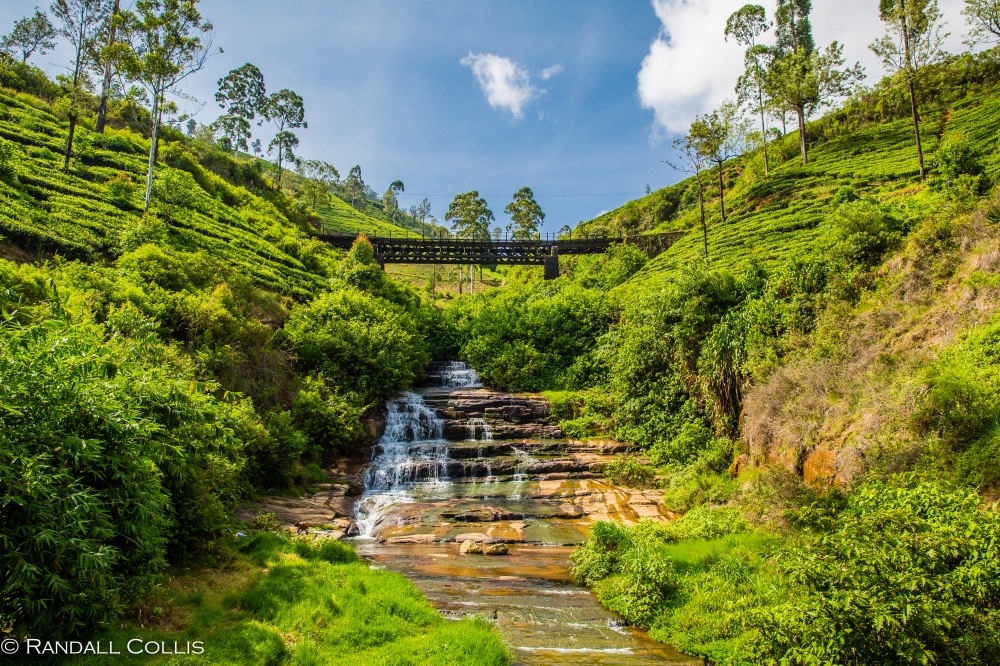 Nuwara Eliya - Sri Lankan Tea Plantations-2