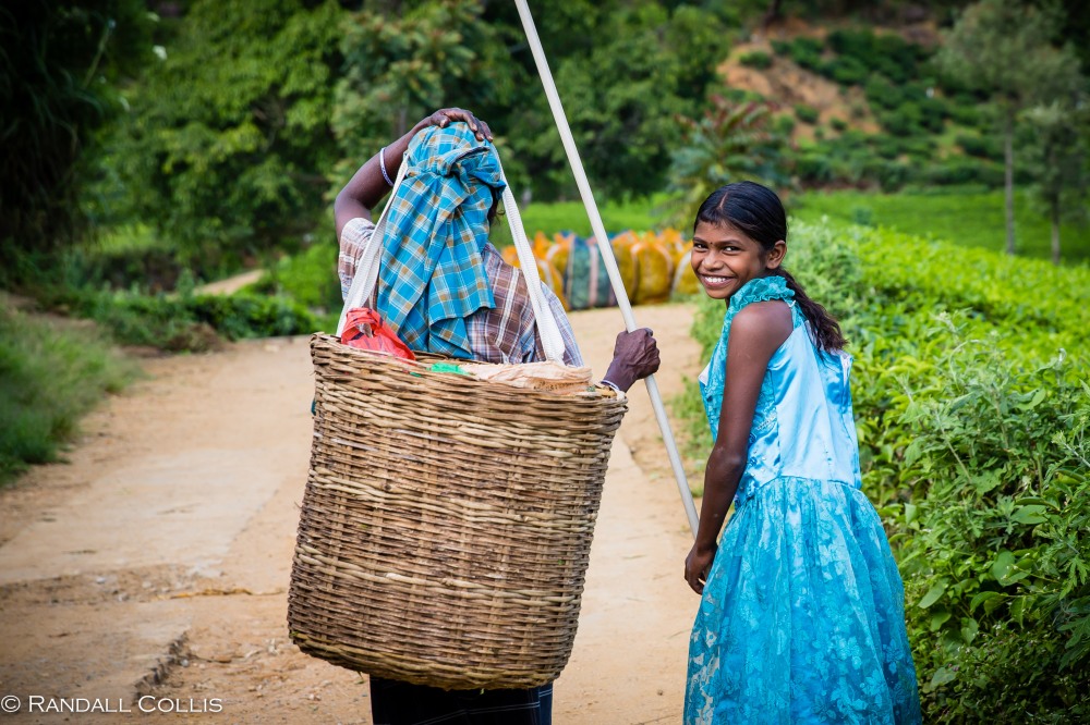 Nuwara Eliya - Sri Lankan Tea Plantations-9