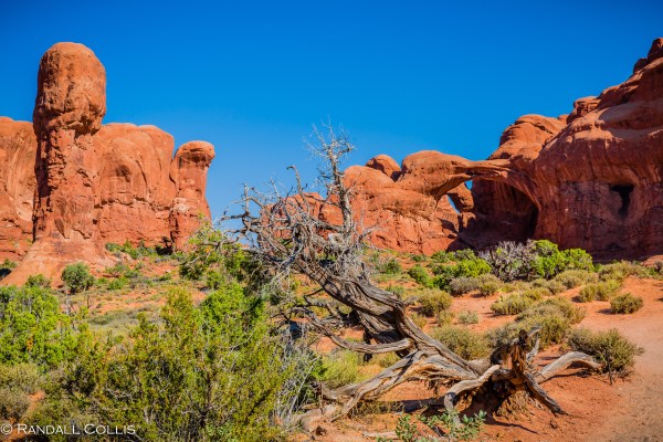 Utah - Arches and Canyonlands-6