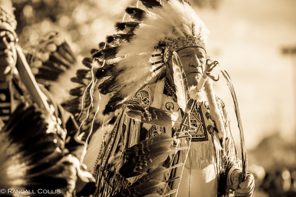 The Wolf You Feed ~ A Native American&nbsp;Story