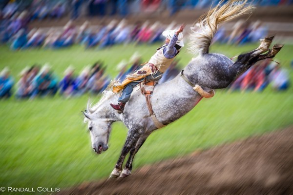Pendleton Round-Up Let'er Buck - Life of a Cowboy-12