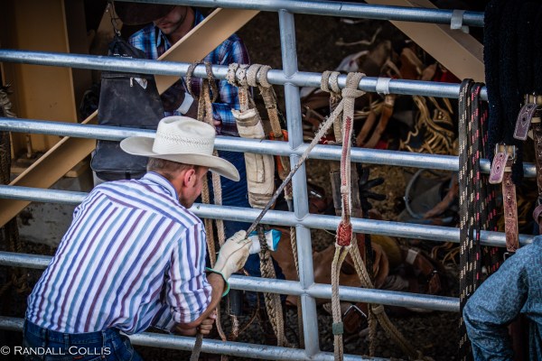 Pendleton Round-Up Let'er Buck - Life of a Cowboy-8