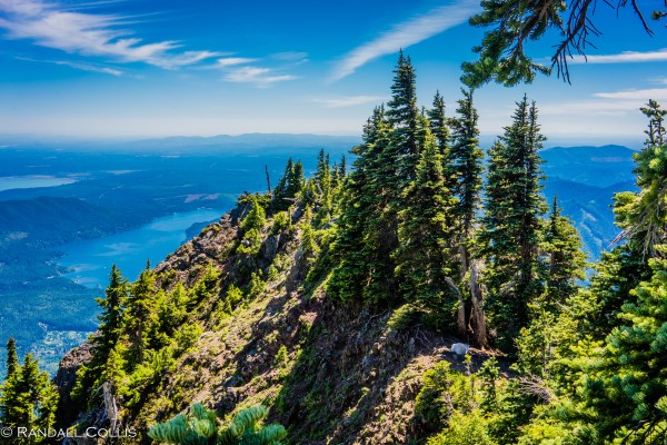 olympic-national-forest-hood-canal-2