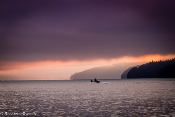 olympic-national-forest-hood-canal-7