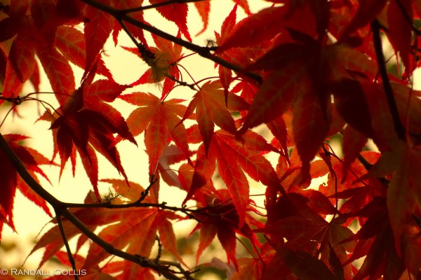 time-is-fleeting-never-stop-4