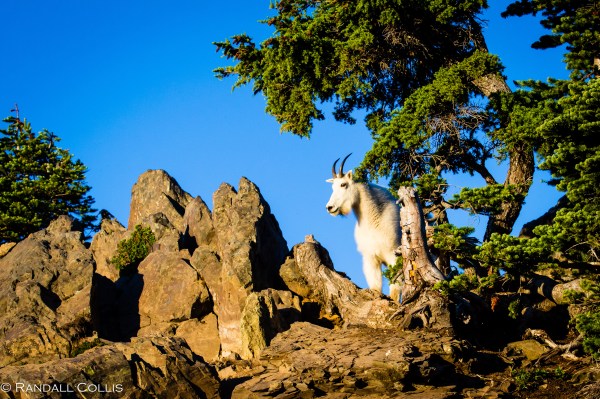 time-is-fleeting-never-stop-5