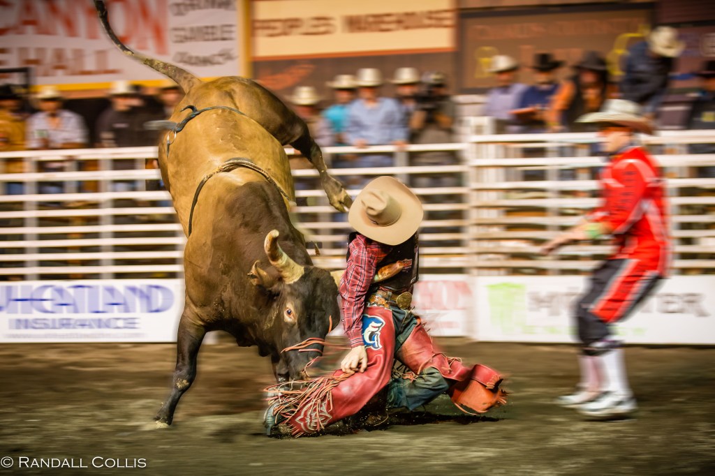 A Lifetime in Eight&nbsp;Seconds