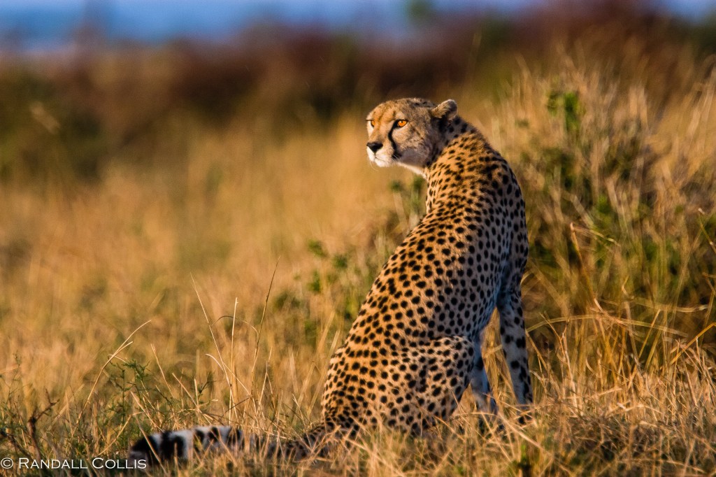 Waking Up in Kenya with&nbsp;Nietzsche