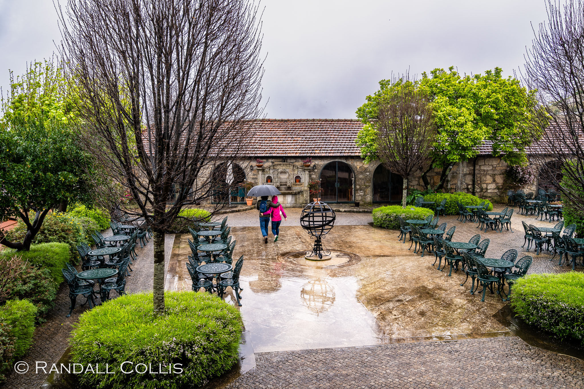 Taylor Port Cellars - Porto