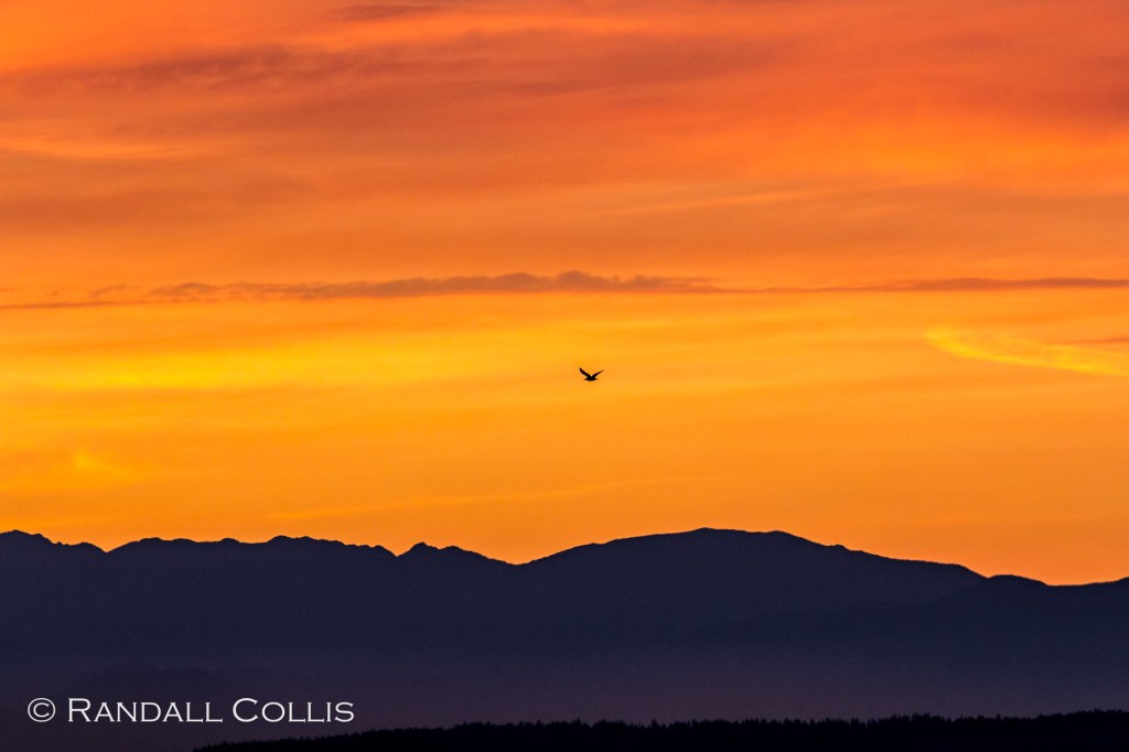 Morning breaks over Discovery Bay, Hong Kong — the first light of Chinese New Year.
