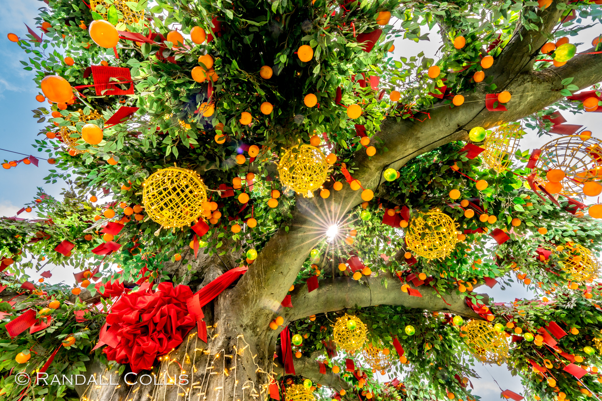 Lam Tsuen Well-wishing festival Tree photo